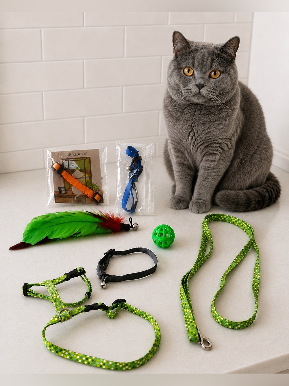 Cat Harness & Leash Set + Toy Bundle